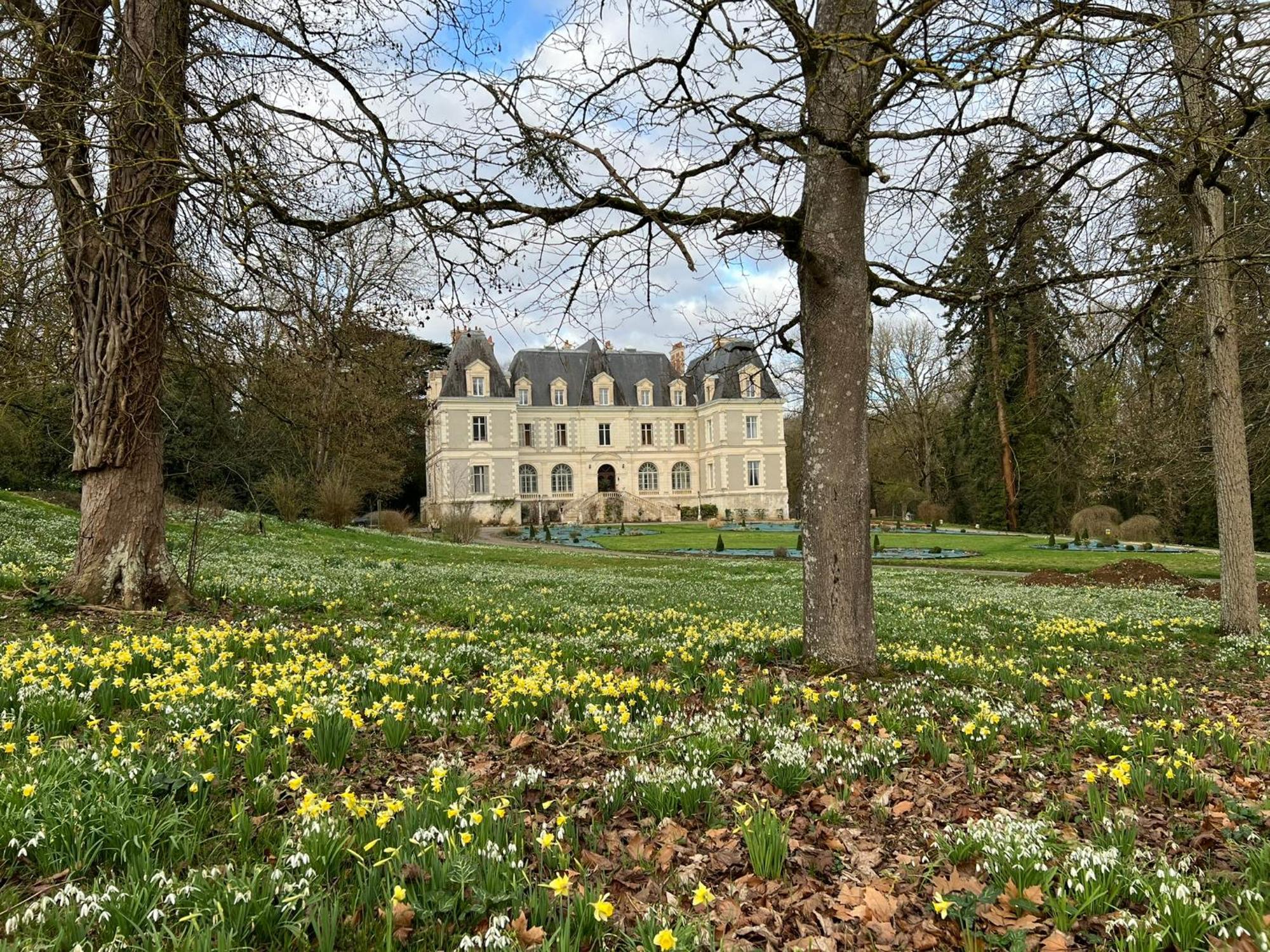 Chateau De Saint-Bohaire Zewnętrze zdjęcie